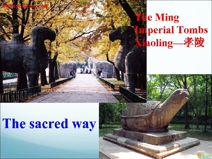 The Ming Imperial Tombs Xiaoling—孝陵 The sacred way 