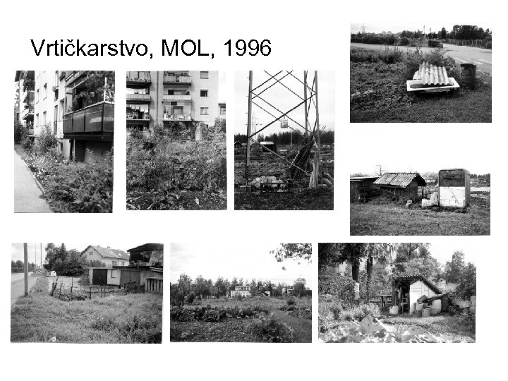 Vrtičkarstvo, MOL, 1996 