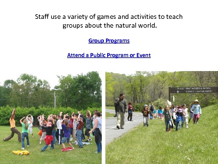 Staff use a variety of games and activities to teach groups about the natural