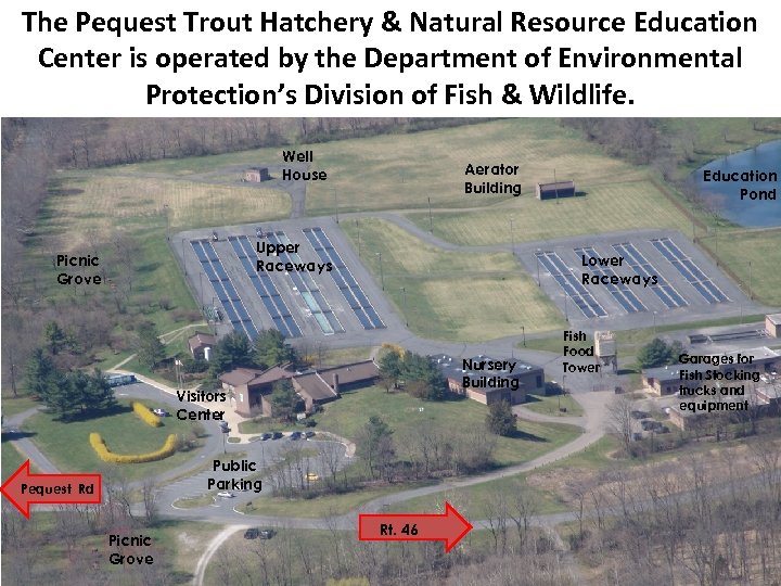 The Pequest Trout Hatchery & Natural Resource Education Center is operated by the Department