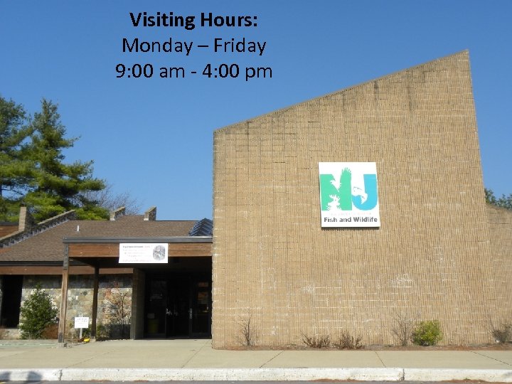 Visiting Hours: Monday – Friday 9: 00 am - 4: 00 pm 