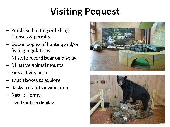 Visiting Pequest – Purchase hunting or fishing licenses & permits – Obtain copies of