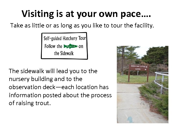 Visiting is at your own pace…. Take as little or as long as you