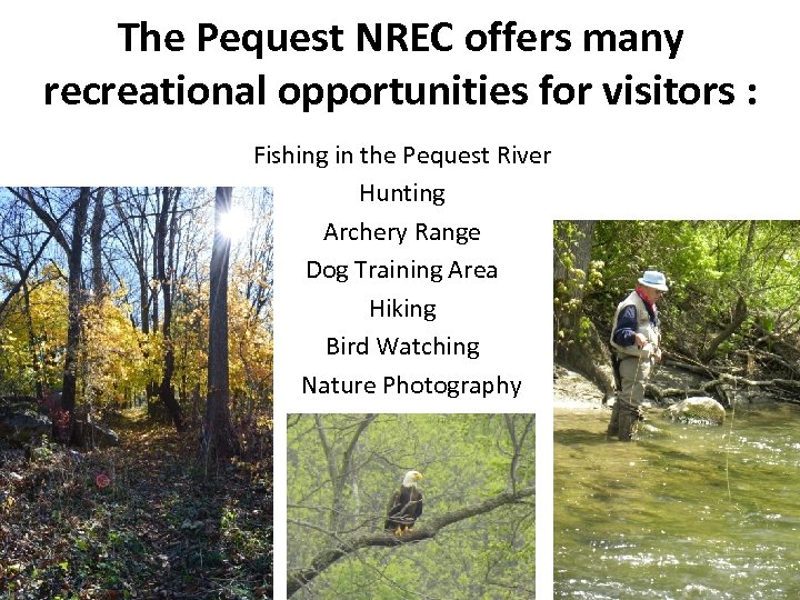 The Pequest NREC offers many recreational opportunities for visitors : Fishing in the Pequest