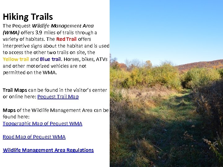 Hiking Trails The Pequest Wildlife Management Area (WMA) offers 3. 9 miles of trails