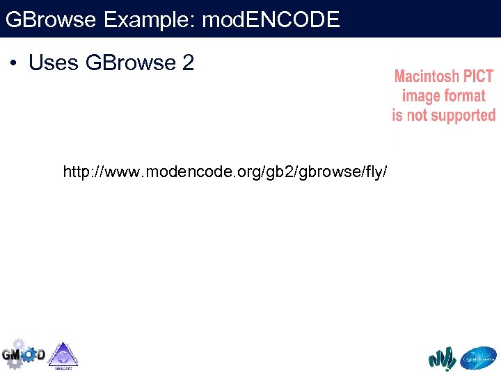 GBrowse Example: mod. ENCODE • Uses GBrowse 2 http: //www. modencode. org/gb 2/gbrowse/fly/ 