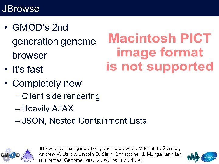 JBrowse • GMOD's 2 nd generation genome browser • It's fast • Completely new