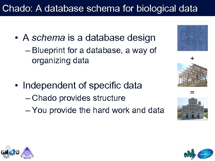 Chado: A database schema for biological data • A schema is a database design