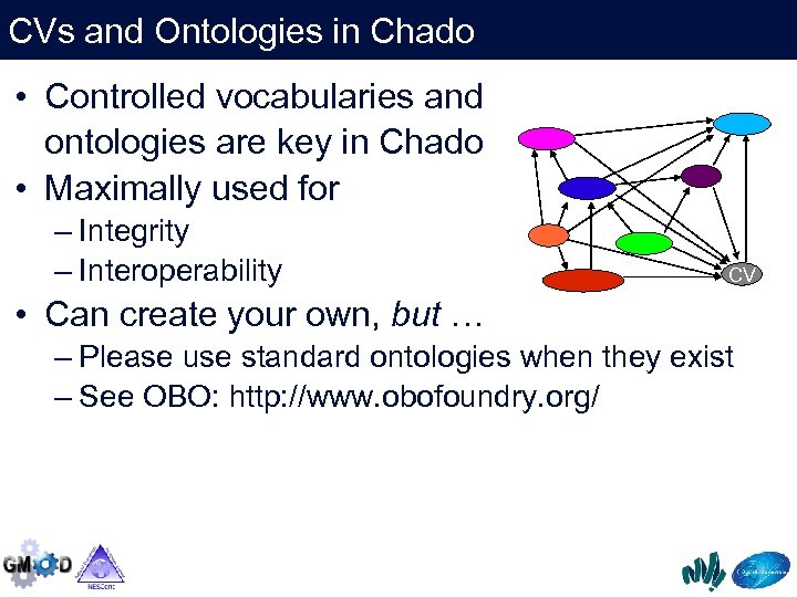 CVs and Ontologies in Chado • Controlled vocabularies and ontologies are key in Chado