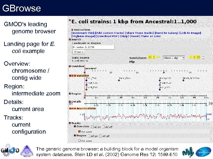 GBrowse GMOD's leading genome browser Landing page for E. coli example Overview: chromosome /