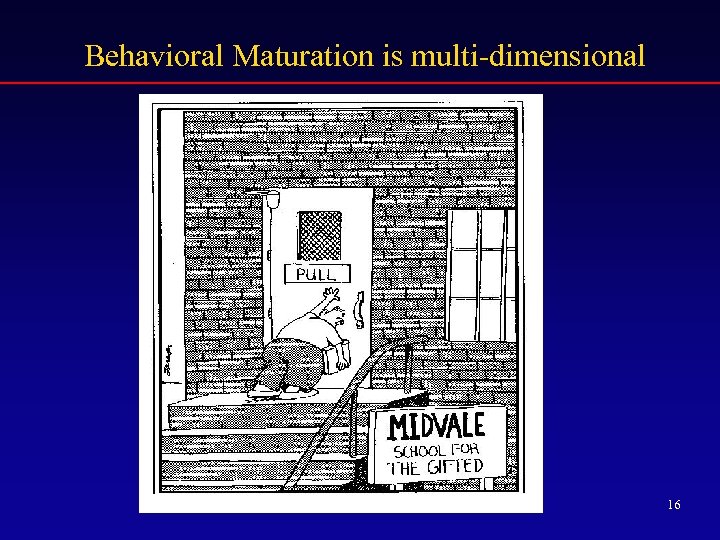 Behavioral Maturation is multi-dimensional 16 