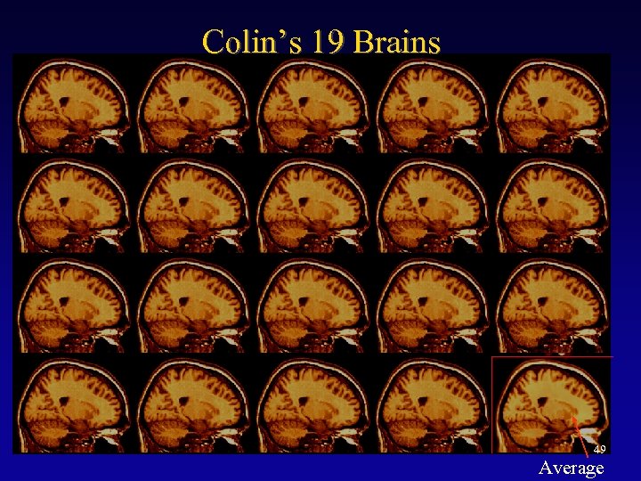 Colin’s 19 Brains 49 Average 