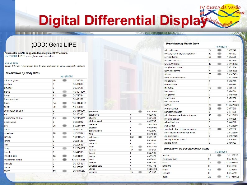 Digital Differential Display (DDD) Gene LIPE 