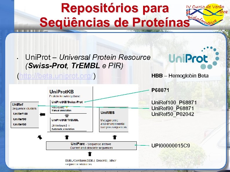 Repositórios para Seqüências de Proteínas Uni. Prot – Universal Protein Resource (Swiss-Prot, Tr. EMBL