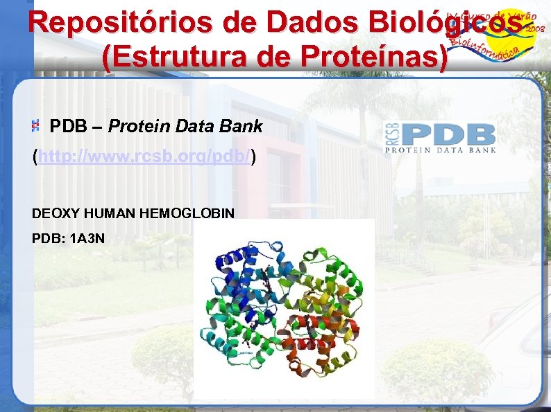 Repositórios de Dados Biológicos (Estrutura de Proteínas) PDB – Protein Data Bank (http: //www.