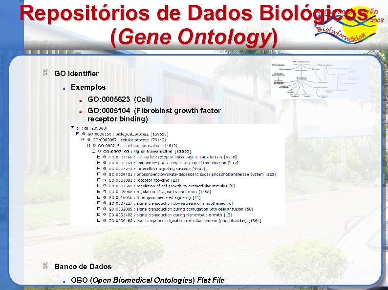 Repositórios de Dados Biológicos (Gene Ontology) GO Identifier Exemplos GO: 0005623 (Cell) GO: 0005104