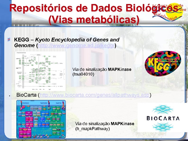 Repositórios de Dados Biológicos (Vias metabólicas) KEGG – Kyoto Encyclopedia of Genes and Genome
