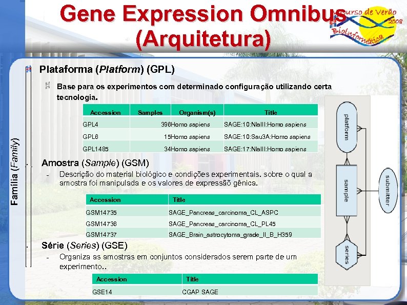 Gene Expression Omnibus (Arquitetura) Plataforma (Platform) (GPL) Base para os experimentos com determinado configuração