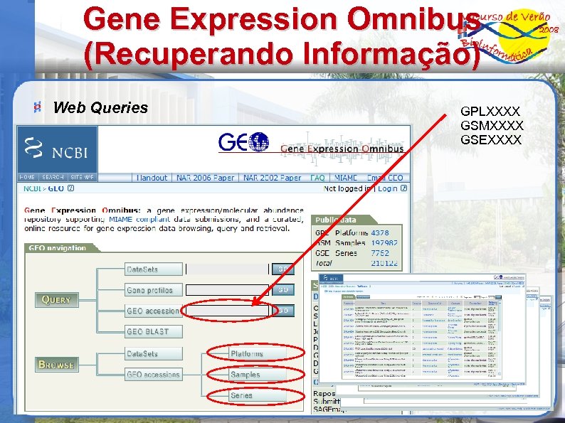 Gene Expression Omnibus (Recuperando Informação) Web Queries GPLXXXX GSMXXXX GSEXXXX 