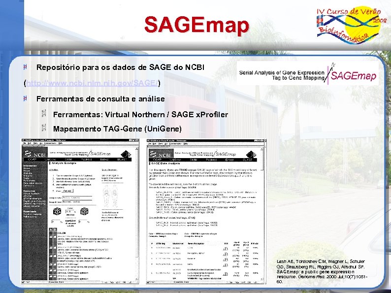 SAGEmap Repositório para os dados de SAGE do NCBI (http: //www. ncbi. nlm. nih.