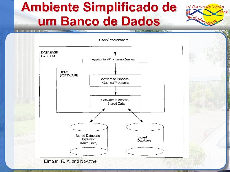Ambiente Simplificado de um Banco de Dados Elmasri, R. A. and Navathe 