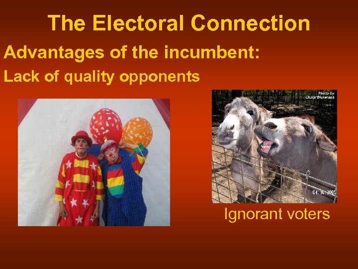 The Electoral Connection Advantages of the incumbent: Lack of quality opponents Ignorant voters 