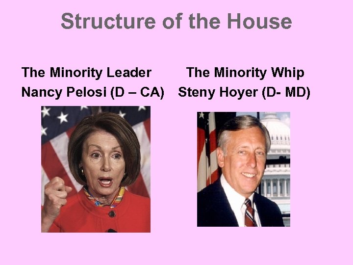 Structure of the House The Minority Leader The Minority Whip Nancy Pelosi (D –
