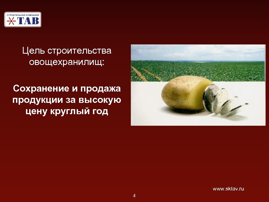 Цель строительства овощехранилищ: Сохранение и продажа продукции за высокую цену круглый год www. sktav.