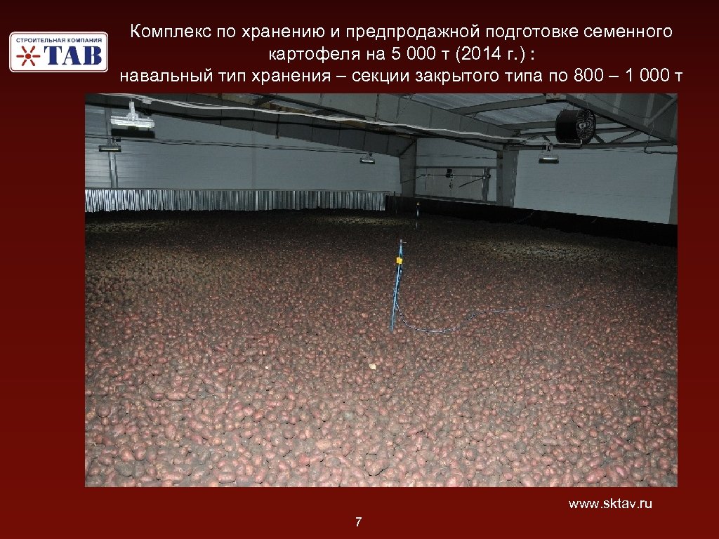 Комплекс по хранению и предпродажной подготовке семенного картофеля на 5 000 т (2014 г.