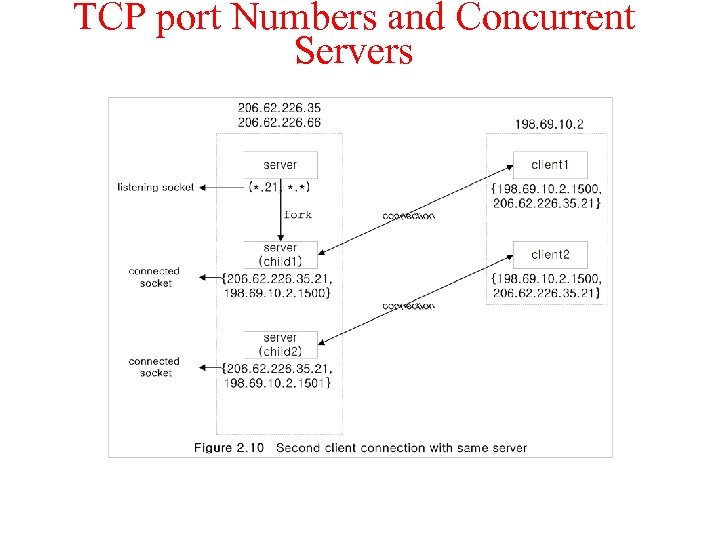 TCP port Numbers and Concurrent Servers 