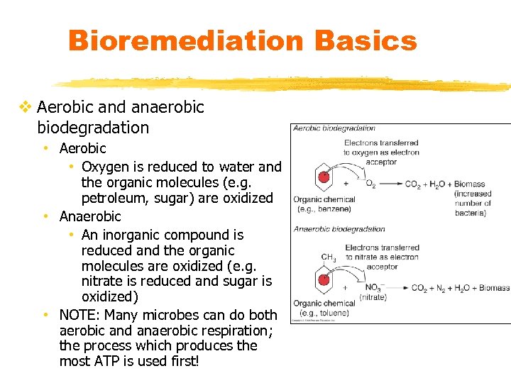 Bioremediation Basics v Aerobic and anaerobic biodegradation • Aerobic • Oxygen is reduced to
