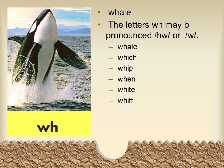  • whale • The letters wh may b pronounced /hw/ or /w/. –