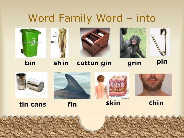 Word Family Word – into bin tin cans shin fin cotton gin skin grin