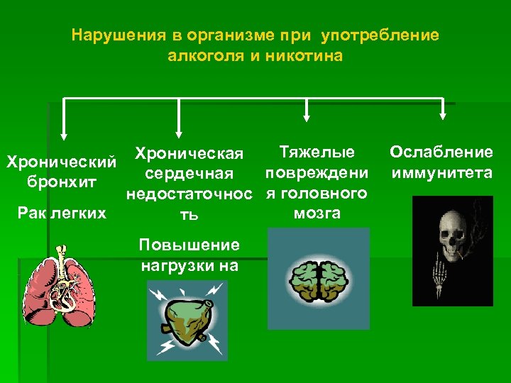 Нарушения в организме при употребление алкоголя и никотина Хронический бронхит Рак легких Тяжелые Хроническая