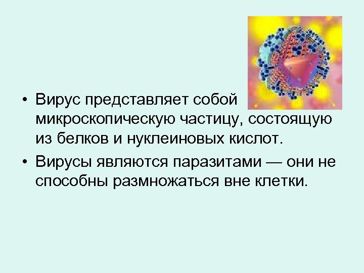  • Вирус представляет собой микроскопическую частицу, состоящую из белков и нуклеиновых кислот. •