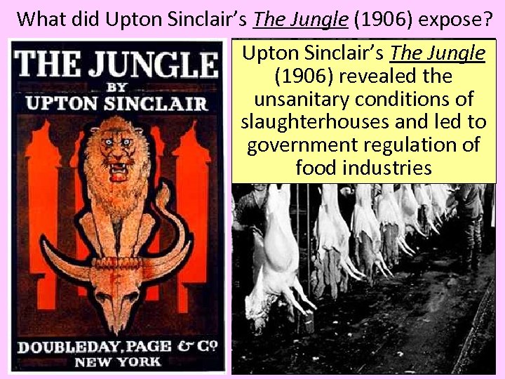 What did Upton Sinclair’s The Jungle (1906) expose? Upton Sinclair’s The Jungle (1906) revealed