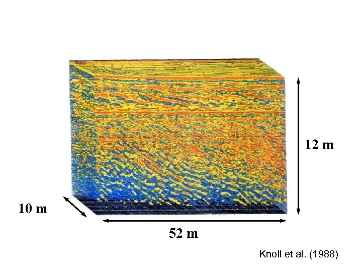 12 m 10 m 52 m Knoll et al. (1988) 