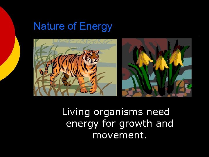 Nature of Energy Living organisms need energy for growth and movement. 