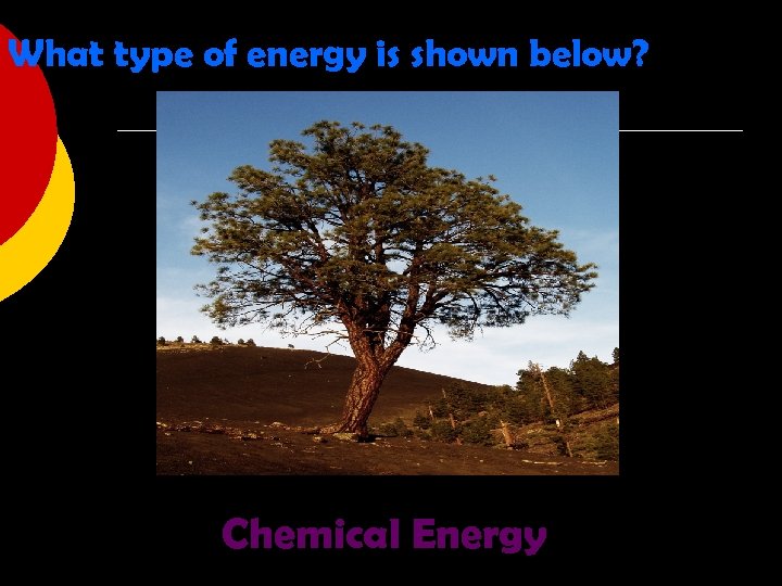 What type of energy is shown below? Chemical Energy 