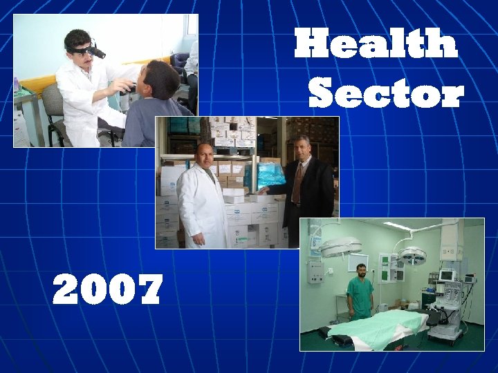 Health Sector 2007 