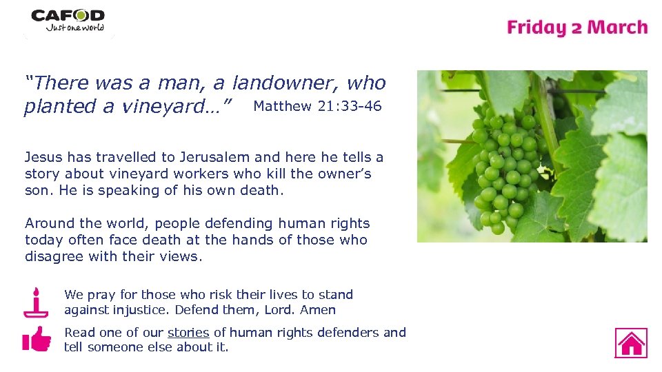 “There was a man, a landowner, who planted a vineyard…” Matthew 21: 33 -46