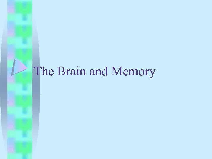 The Brain and Memory 