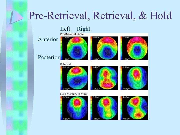 Pre-Retrieval, & Hold Left Anterior Posterior Right 