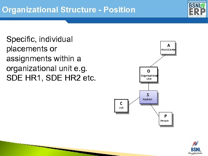 Organizational Structure - Position Specific, individual placements or assignments within a organizational unit e.