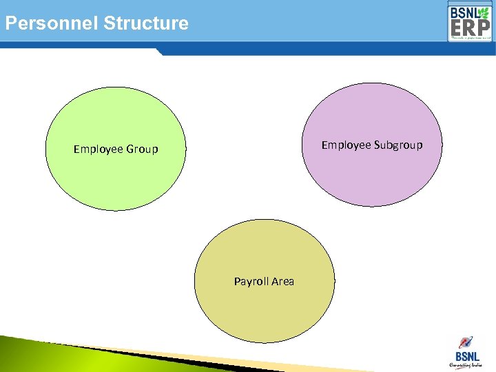 Personnel Structure Employee Subgroup Employee Group Payroll Area 