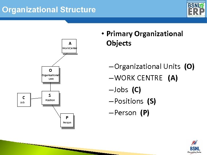 Organizational Structure A Work Center O Organizational Unit C Job S Position P Person