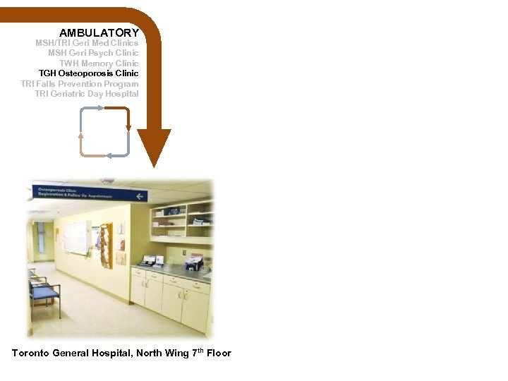 AMBULATORY MSH/TRI Geri Med Clinics MSH Geri Psych Clinic TWH Memory Clinic TGH Osteoporosis
