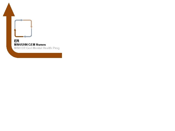 ER MSH/UHN GEM Nurses MSH ER Geri Mental Health Prog 