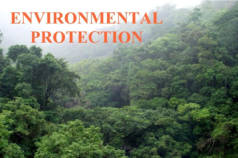 ENVIRONMENTAL PROTECTION 