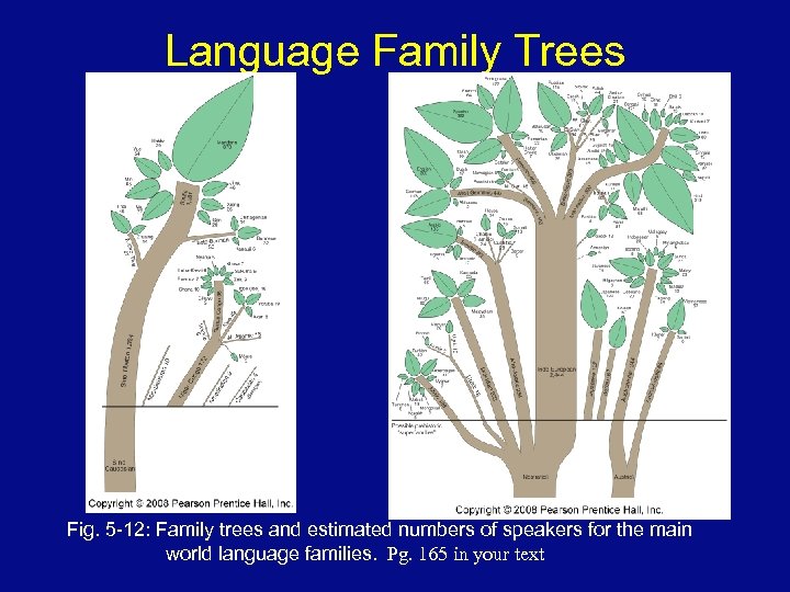 Language Family Trees Fig. 5 -12: Family trees and estimated numbers of speakers for